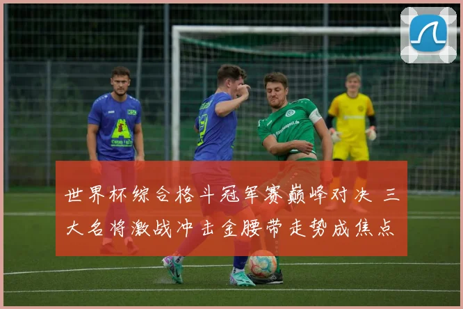 世界杯综合格斗冠军赛巅峰对决 三大名将激战冲击金腰带走势成焦点