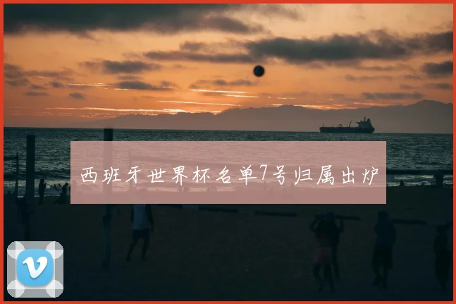 西班牙世界杯名单7号归属出炉