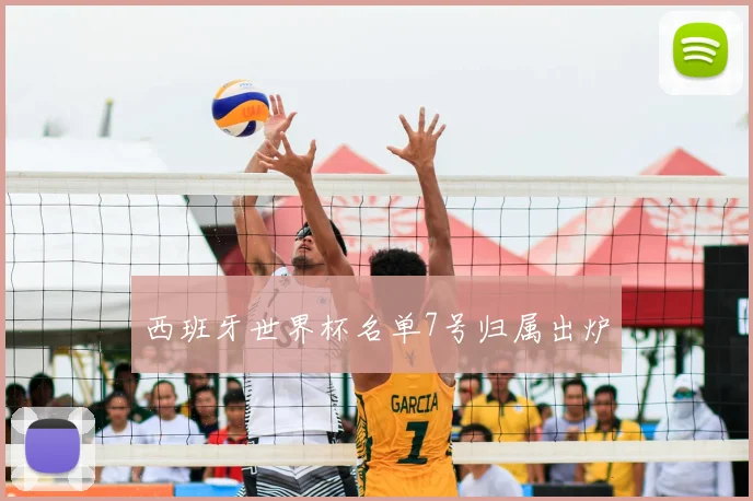西班牙世界杯名单7号归属出炉