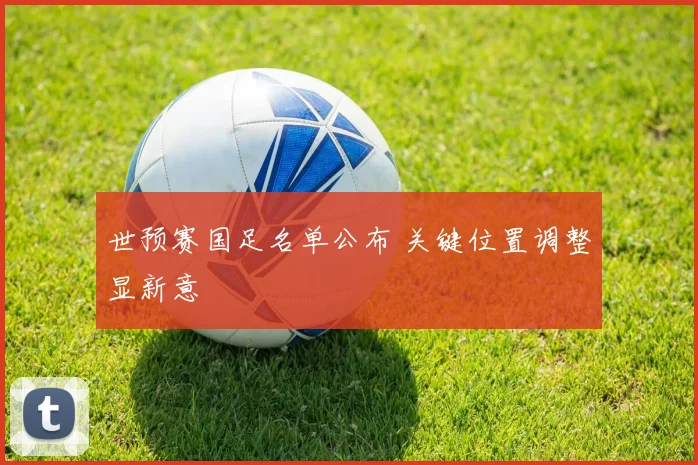 世预赛国足名单公布 关键位置调整显新意