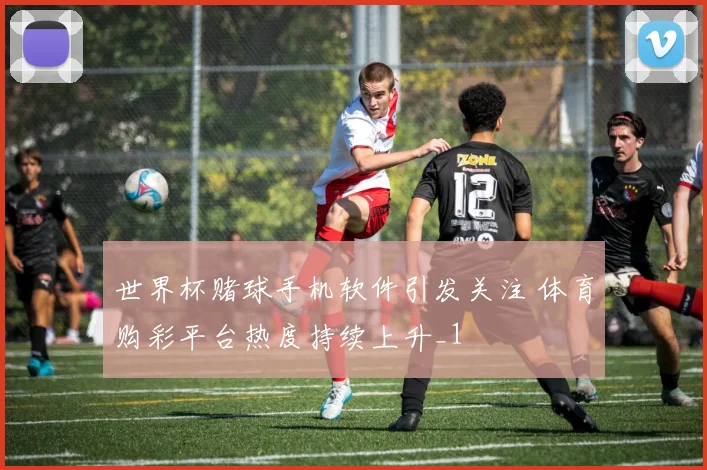 世界杯赌球手机软件引发关注 体育购彩平台热度持续上升_1