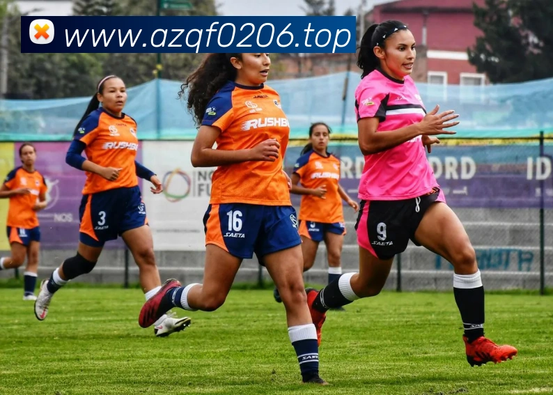 开体育app官网下载最新版品牌故事